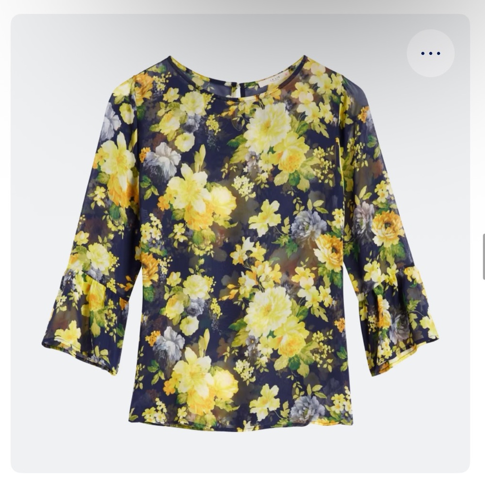 Le Lis Kelden Ruffle Sleeve Floral Sheer Blouse